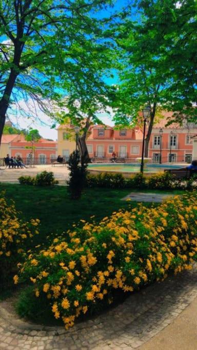 Apartamento Com Boa Luz E Localizacao Em Lisboa. Daire Dış mekan fotoğraf