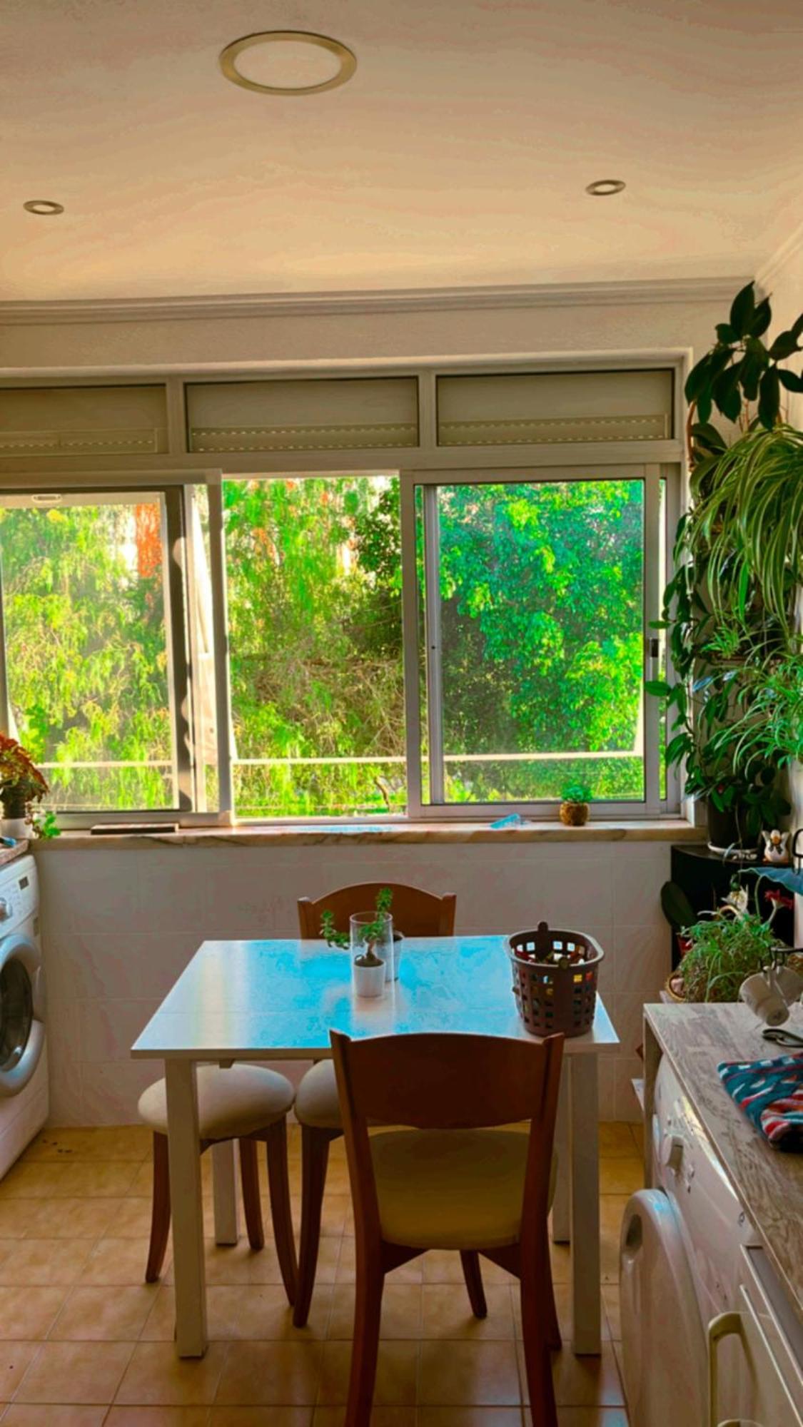 Apartamento Com Boa Luz E Localizacao Em Lisboa. Daire Dış mekan fotoğraf